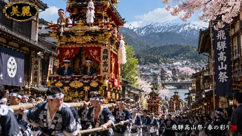 飛騨高山祭、桜と雪山の祭典 thumbnail